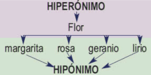 Hiperónimo e Hipónimo